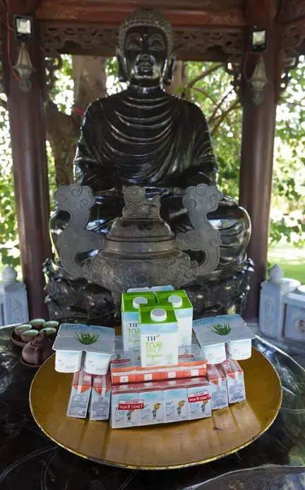 Offerings of TH Milk's products are made to Buddha at TH Milk's operations in Nghia Son, Vietnam. Image by Mark Hoffman. Vietnam, 2019. 