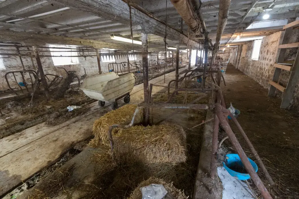 The barn has 44 stalls. The last time a dairy herd was at the farm was in December 2017. Image by Mark Hoffman. United States, 2019.