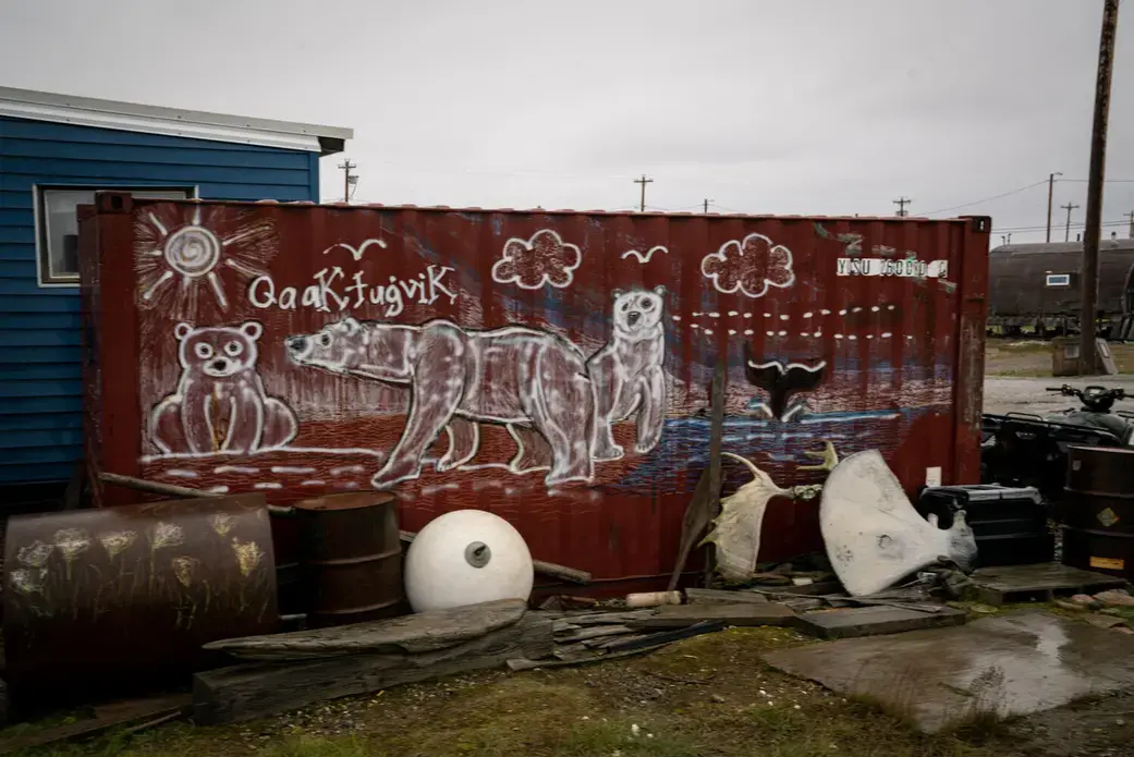 Graffiti of polar bear on cargo box. Image by Nick Mott. United States, 2019.