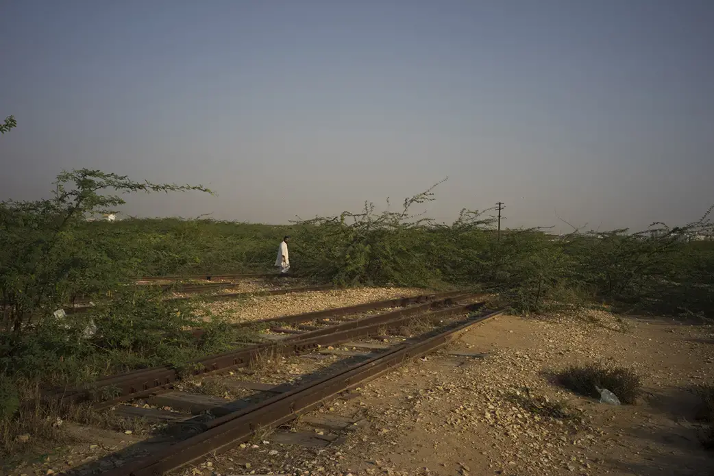 Acacia, Near Depot Hill Station Karachi, Pakistan. Image from KCR, by Ivan Sigal. Pakistan, 2014-2017.