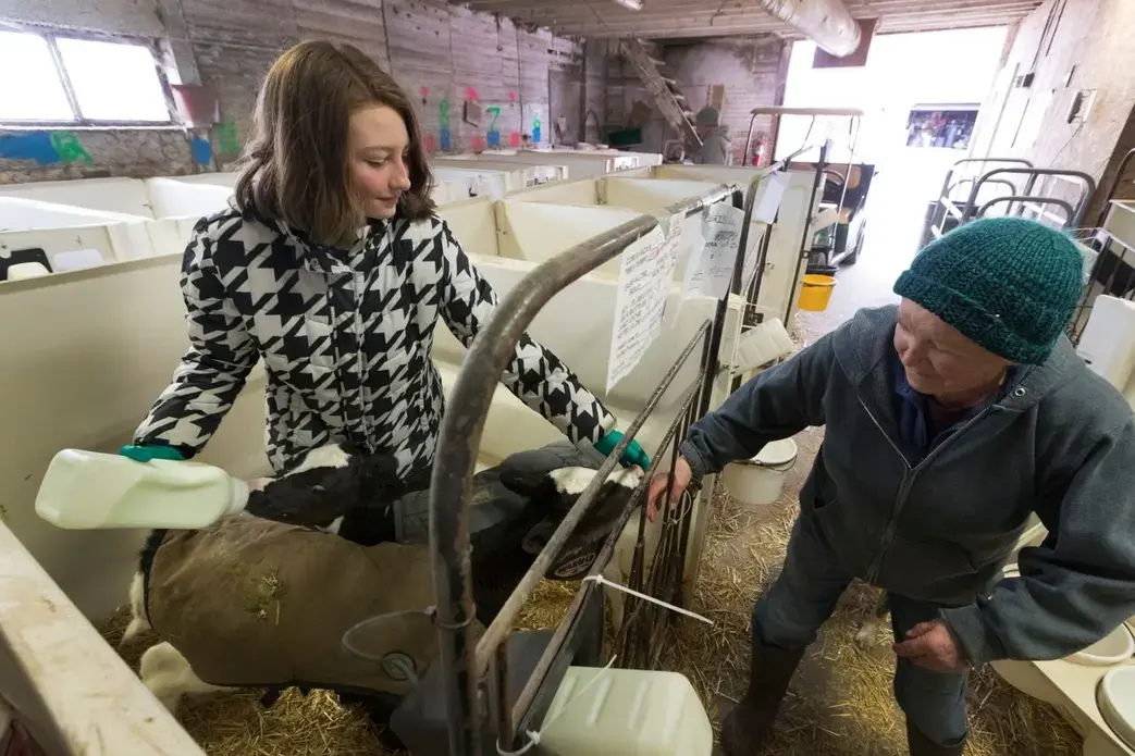 Maggie Breitenmoser, 14, feeds calves while talking her grandmother, Margaret, on her family's farm in Merrill. Image by Mark Hoffman. United States, 2019.