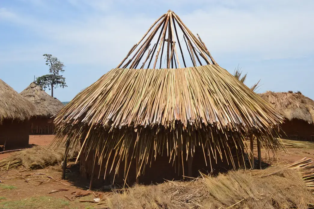 A grass-thatched house being completed in Walumbe village. According to Busoga Forestry Company, no permanent structures are allowed in the forest reserve. Image by Annika McGinnis. Uganda, 2019. </p>
<p>