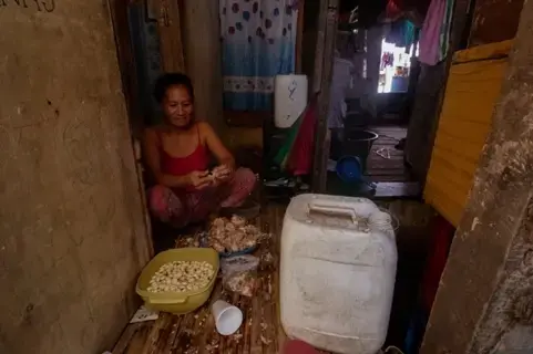 Peeling garlic sold to fast food restaurants has become a popular job in squatter areas like Isla Puting Bato. Image by Micah Castelo. Philippines, 2019.  