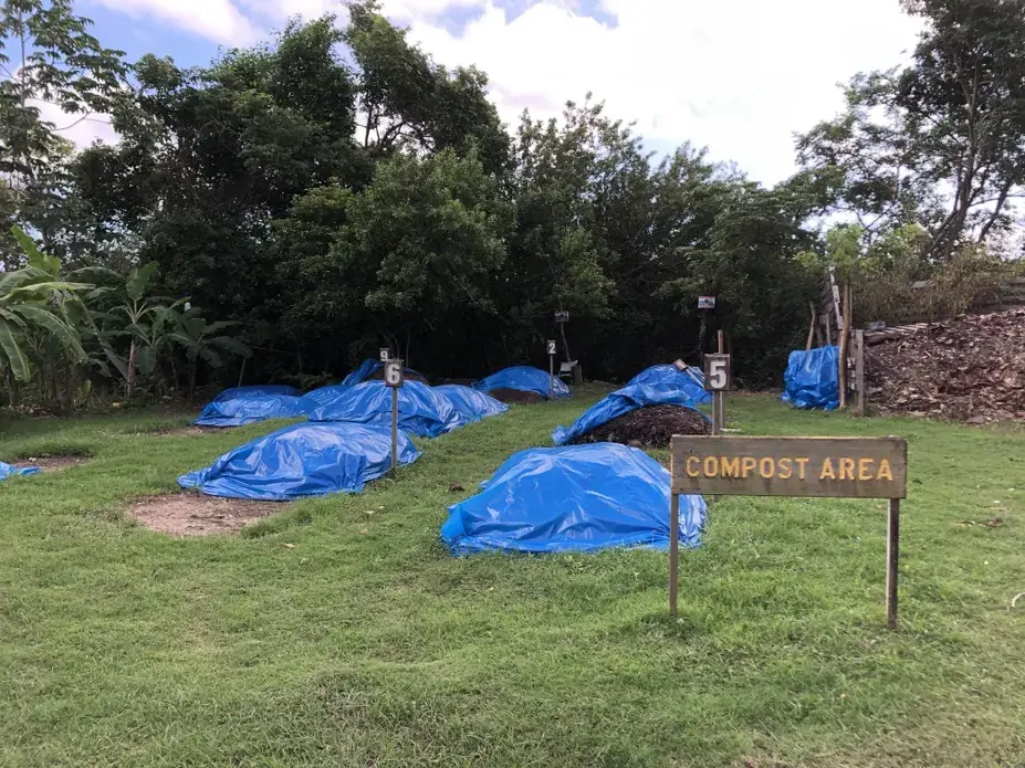 Compost heaps at Mahogany Bay cruise terminal. The composting initiative provides fertilizer for the gardens at the port in an effort to reduce impacts on the local environment. Image by Jack Shangraw. Honduras, 2019.