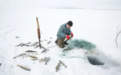 Omirserik Ibragimov, 25, uses a net to ice fish on the frozen surface of the North Aral Sea near Tastubek, Kazakhstan. Image by Taylor Weidman. Kazakhstan, 2017.