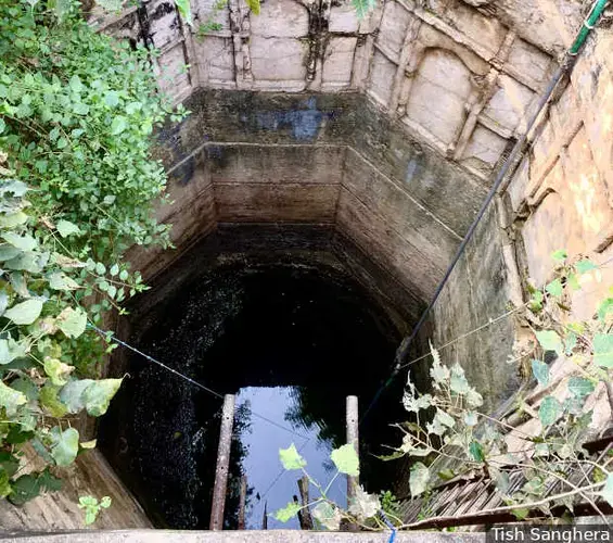A 19th century well in Chhatarpur, Madhya Pradesh. Rejuvenating existing water-harvesting structures will be a more economical, less environmentally damaging alternative to big engineering projects such as the Ken-Betwa interlinking. Image by Tish Sanghera. India, undated.<br />
