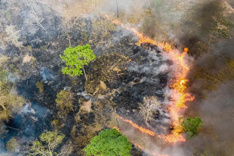 Aerial view of burning land near the Phnom Tnout Phnom Pok Wildlife Sanctuary, in Songkom Thmey District, Preah Vihear Province, northern Cambodia. During the dry season between January to March, hundreds of fires continually rage across the country. Land is burnt by farmers, loggers and local people looking to either capture wildlife or clear land for agriculture. Cambodia has one of the world’s fastest rates of deforestation and it is estimated only 3 percent of primary forest is now left. Image by Sean…