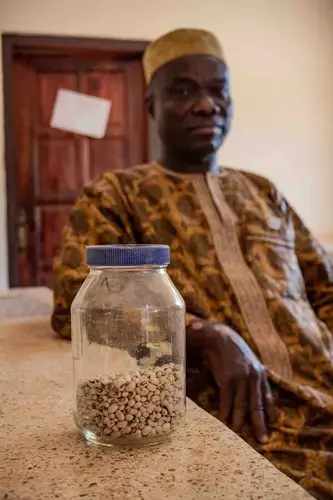 Entomologist and principal investigator on the GM cowpea project Mumuni Abudulai often reaches out to journalists asking them to call him whenever they are doing a story about GM food. Image by Ankur Paliwal. Ghana, 2019.