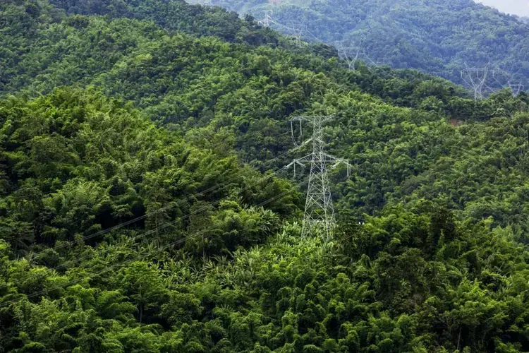 Transmission towers on the China side of the Darpein dam. Image by Hkun Lat. Myanmar, 2019.