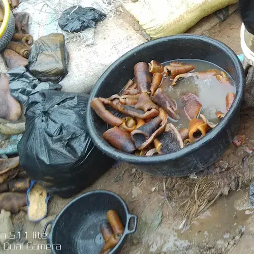 Ponmo kept in basin to keep it fresh. Image by Anita Igbine. Nigeria, 2020.</p>
<p>