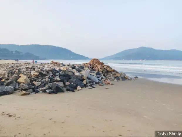 Breakwaters, part of Karwar port expansion work, have been constructed by dumping rocks on the beach. Experts point to the futility of building such structures here because Karwar is a sheltered beach, meaning the wave speed is already reduced by its surrounding islands. Image by Disha Shetty / IndiaSpend. India, 2020.