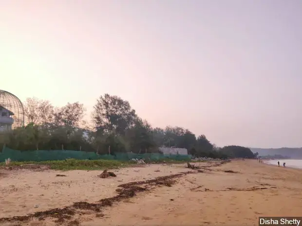 A garden (on the left) and other structures have been built on the ecologically sensitive Karwar beach. The beach is a nesting ground for local sea turtles as well as the olive ridley turtles, and these structures get in the way, according to local scientists. Image by Disha Shetty / IndiaSpend. India, 2020.