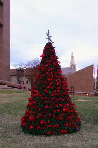 A tree with a ribbon for each Memphis homicide victim in record-setting 2020 has been placed outside the Criminal Justice Center in Downtown Memphis. There now are more than 300 ribbons. Anyone who’s lost a loved one to homicide can hang an ornament on the tree through the end of December. Image by Karen Pulfer Focht/Special to Daily Memphian. United States, 2020.<br />
