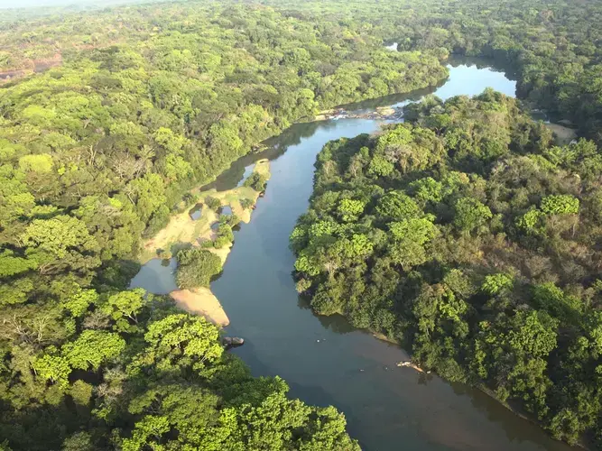 The Chinko reserve in the Central African Republic is almost twice the size of Yellowstone and is found in the wild and remote heart of the continent, near the borders of DR Congo and South Sudan. Here, the River Chinko winds through the south of this vast park, surrounded by lush tropical forest. In its waters are fish, crocodiles and hippo - all attractive targets for poachers who sneak into the reserve. Image by Jack Losh. Central African Republic, 2018.