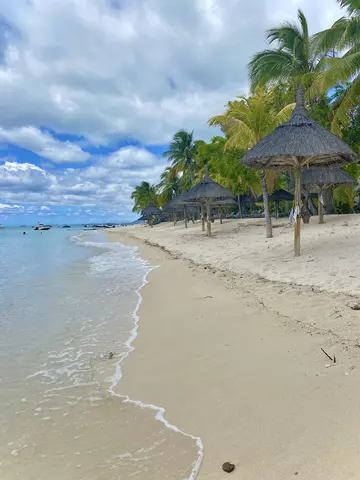 A sandy beach with palm trees.