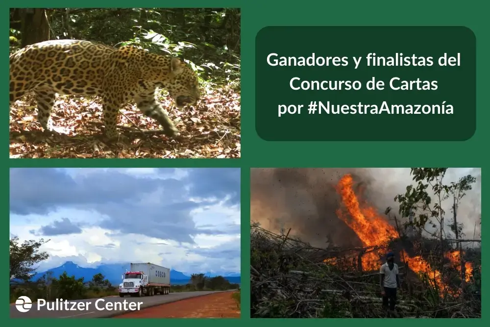 Ganadores y finalistas del Concurso de Cartas por #NuestraAmazonía