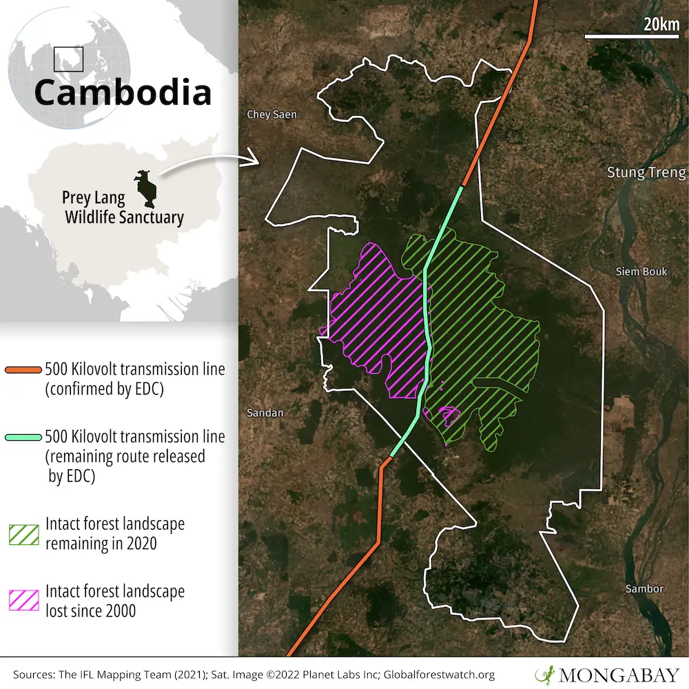 A map shows that Prey Lang Wildlife Sanctuary contains Cambodia’s last intact forest landscape (IFL), which is a tract of old growth forest that is large and undisturbed enough to retain its original biodiversity levels. While much of the planned route for the power lines skirts through a previously degraded portion of the IFL, the northern segment pierces a portion that was remaining as of 2020. 