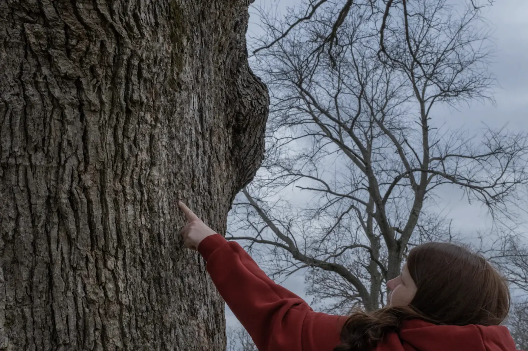 Jenny points to tree