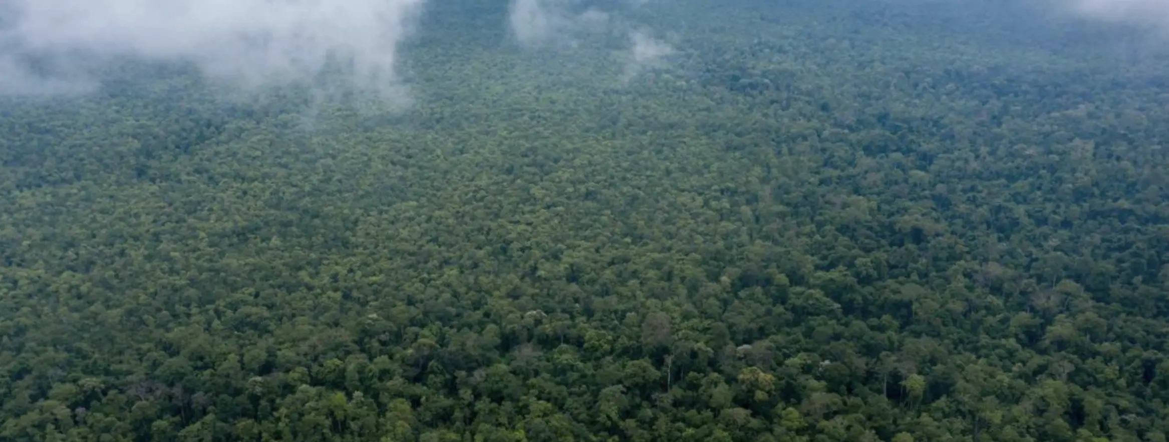 An aerial view, captured April 29, 2022, of Prey Lang Wildlife Sanctuary, Cambodia, one of the largest remaining lowland evergreen forests in mainland Southeast Asia.