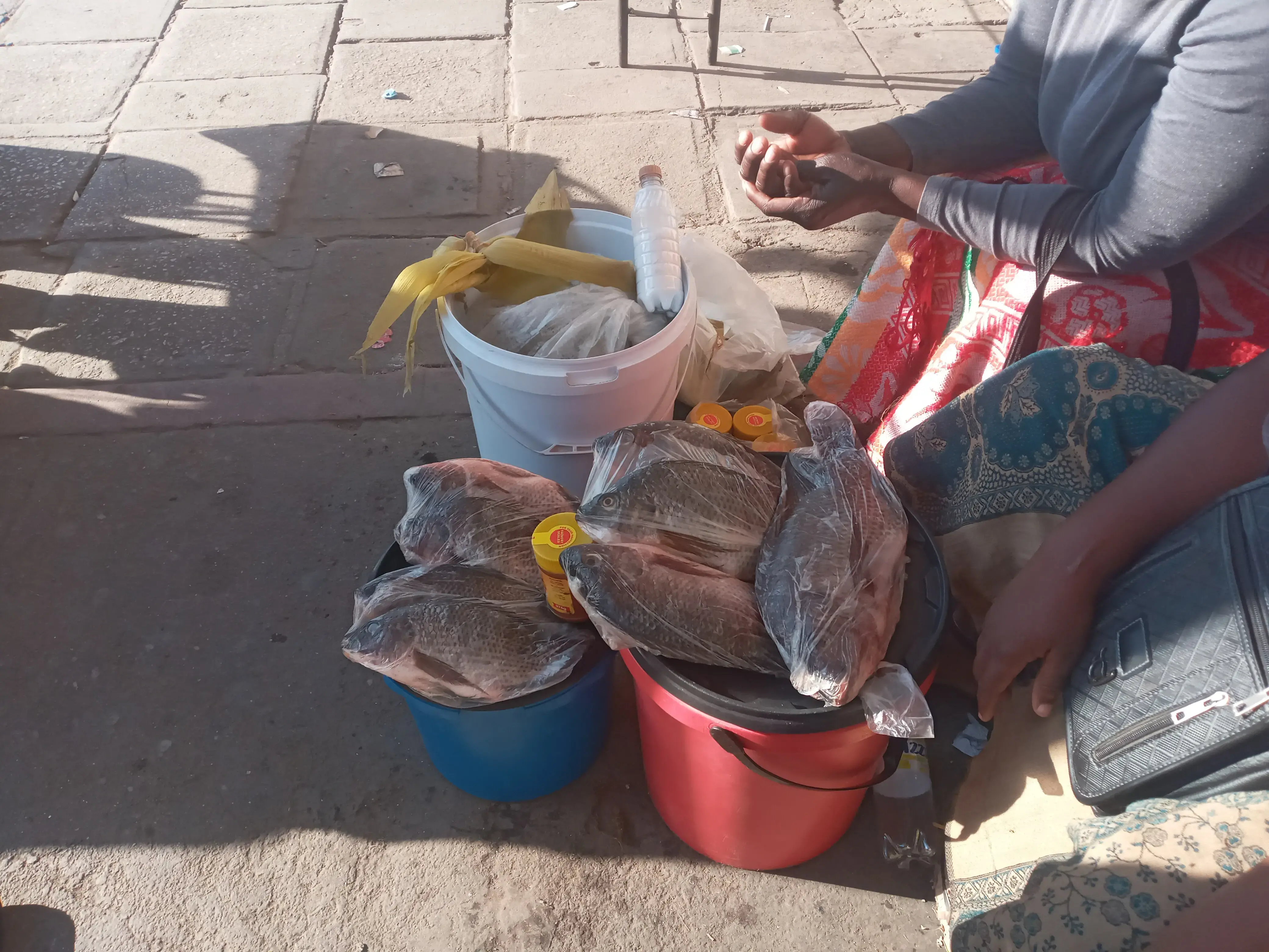 women's hands and buckets of fish