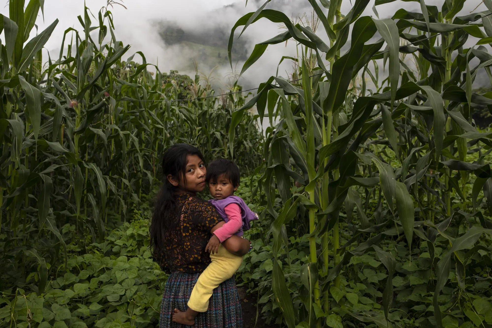 Young girl holds a child in a corn field