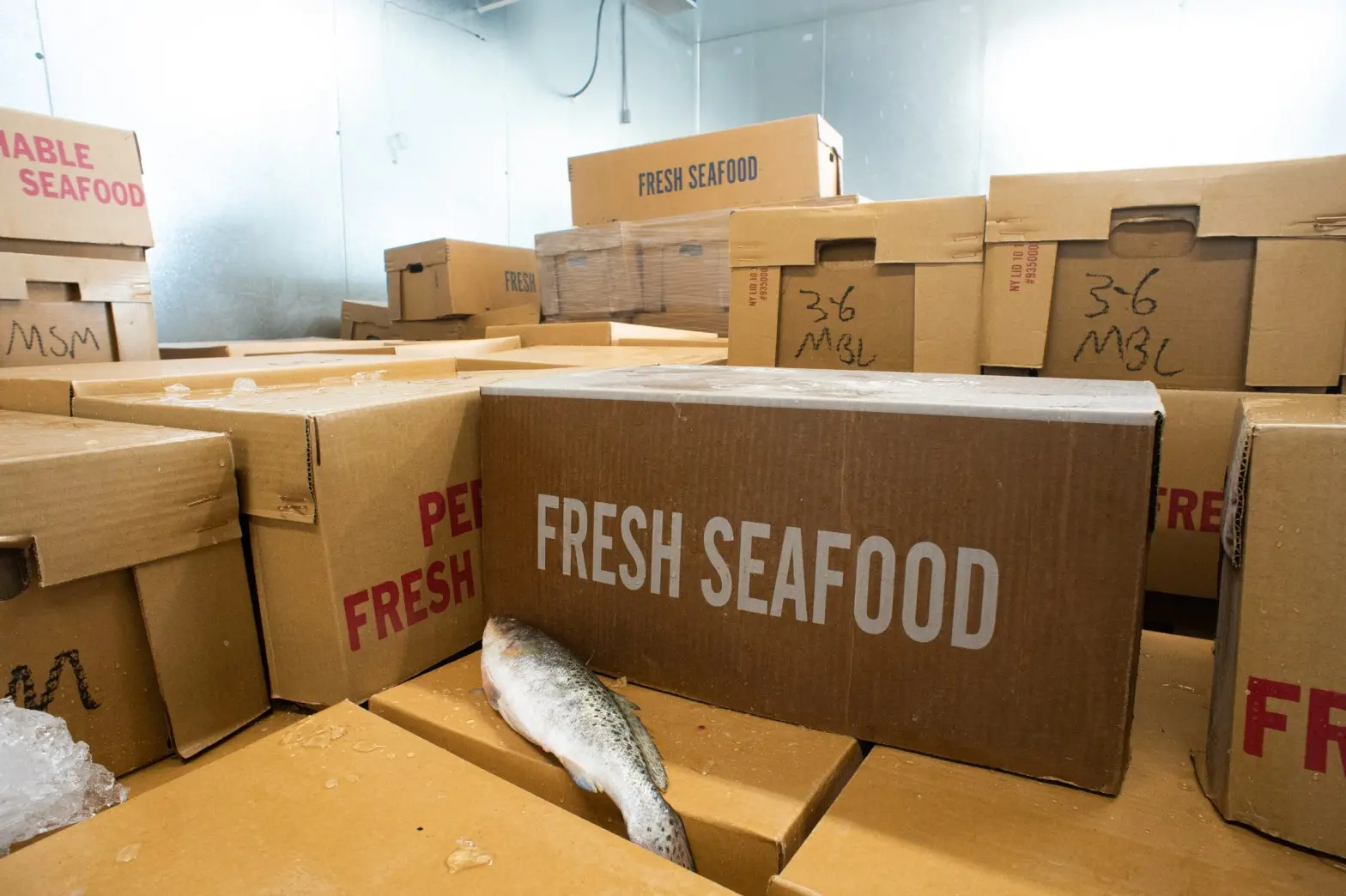 A fish lays on top of boxes of seafood