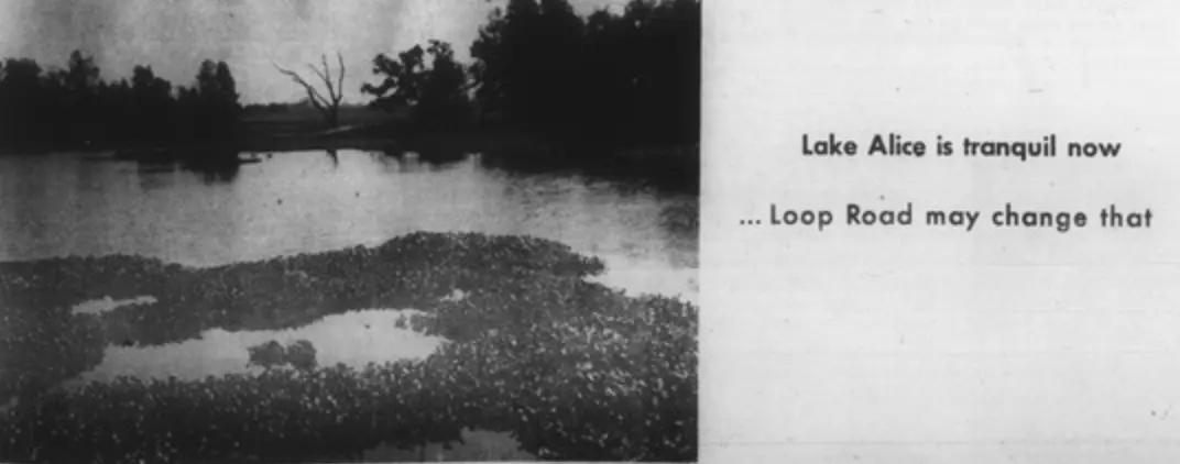 A black and white image of the lake is set next to text that reads "Lake Alice is tranquil now... Loop Road may change that"