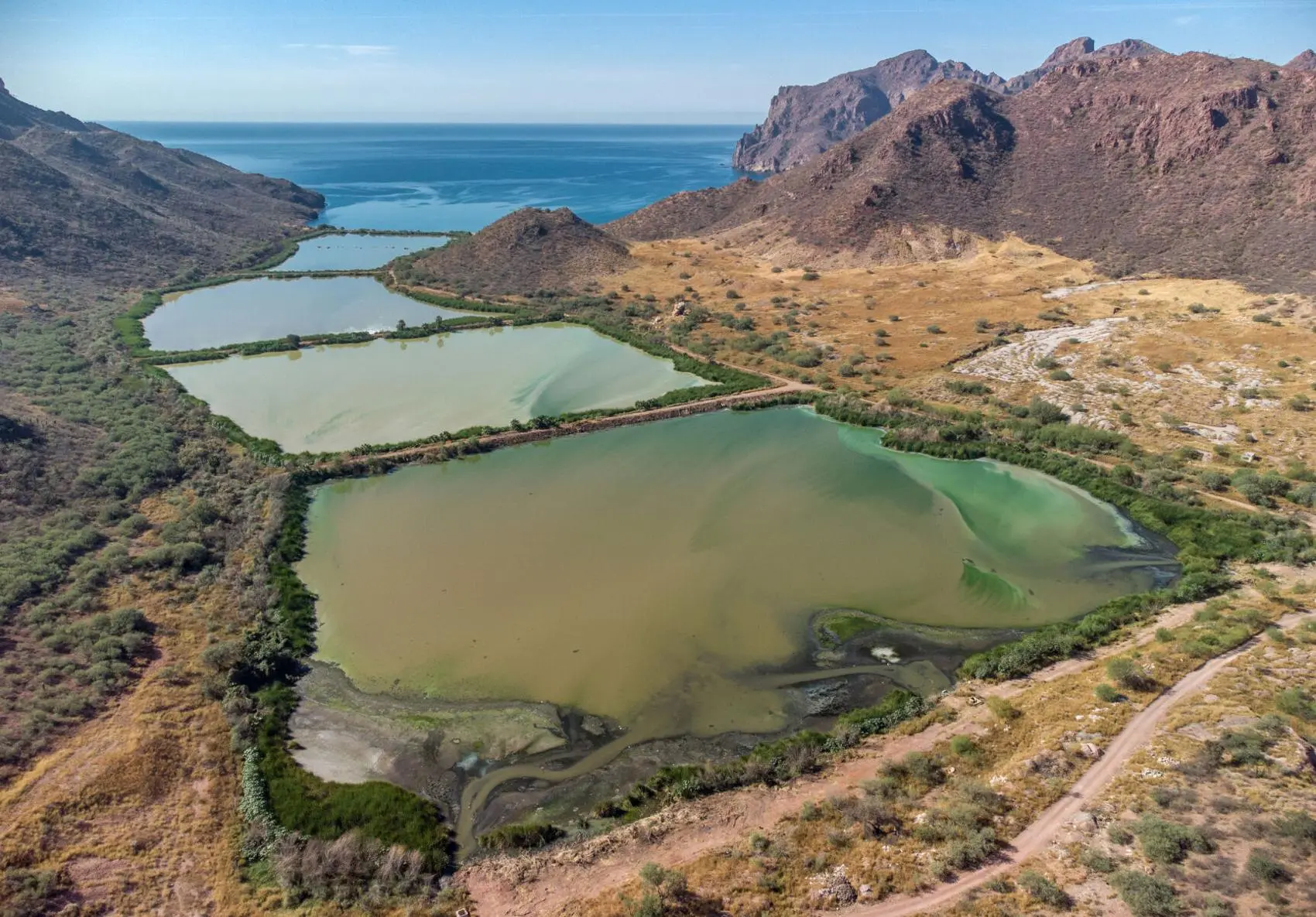 Contaminated lagoon in Mexico 