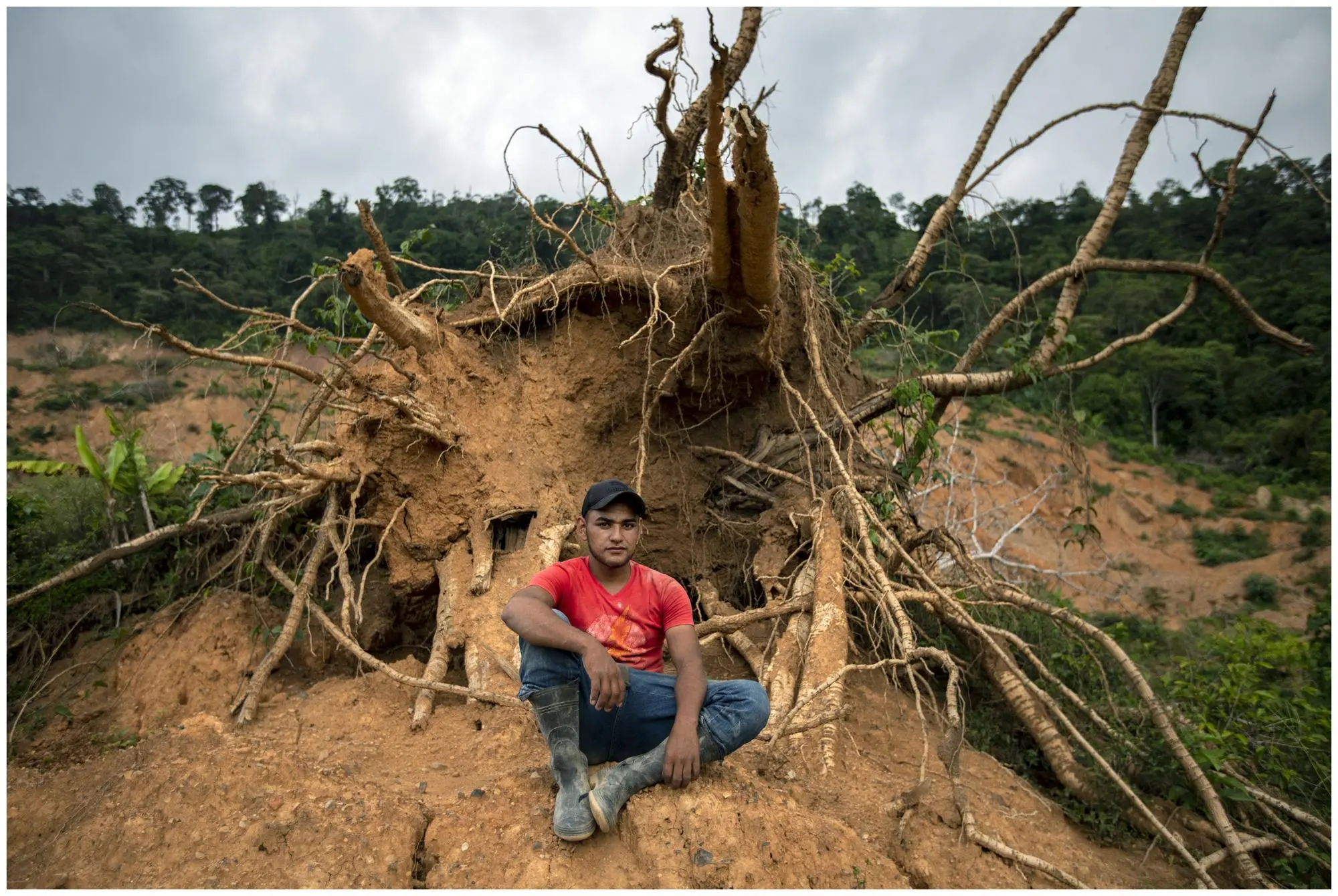 Man sits in front of fallen tree 