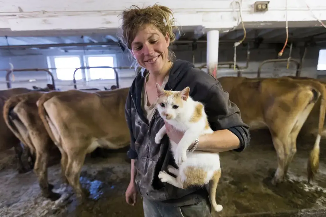 Emily Harris holds 'Shitty Kitty' while taking a break from loading livestock. The barn cat got the name after they found it covered with manure. Image by Mark Hoffman. United States, 2019.