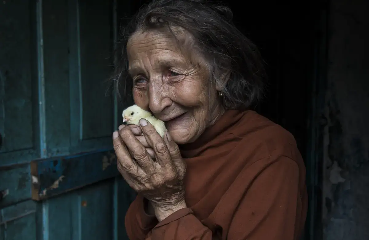 an elderly woman cradles a chick in her hands