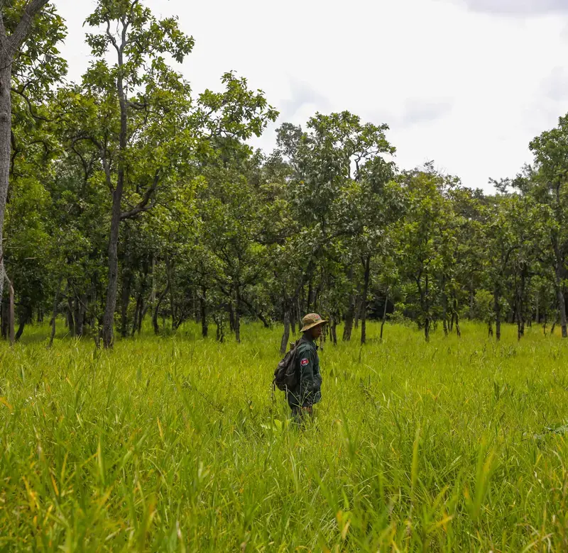a man wearing camouflage stands in the middle of a green, grassy field