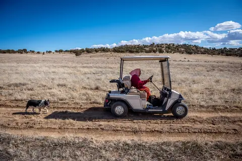 Helen Nez looks for her sheep on her property in Blue Gap, Ariz. Image by Mary F. Calvert. United States, 2020.