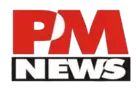 PM News Nigeria logo